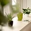 Terlon Apartments