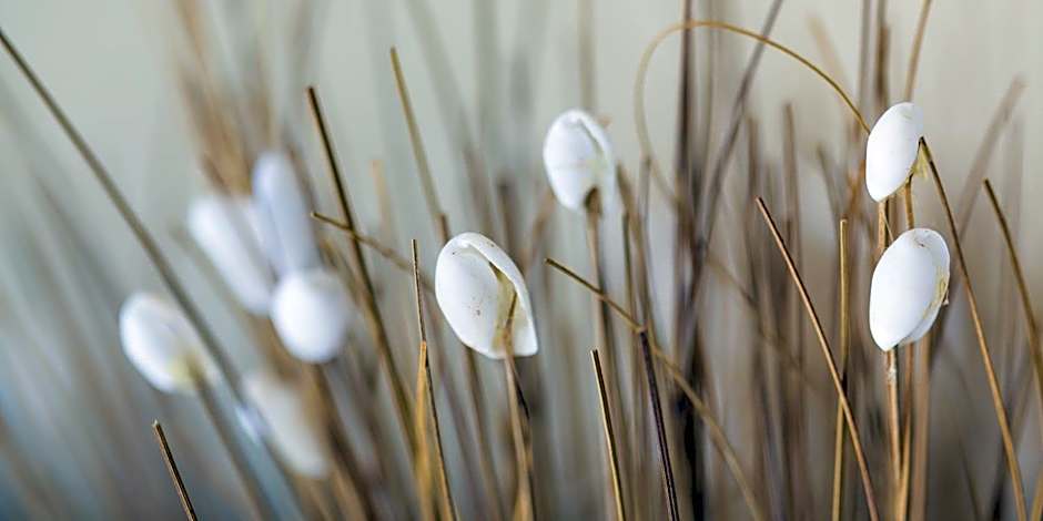 Seashells Apartments Merimbula
