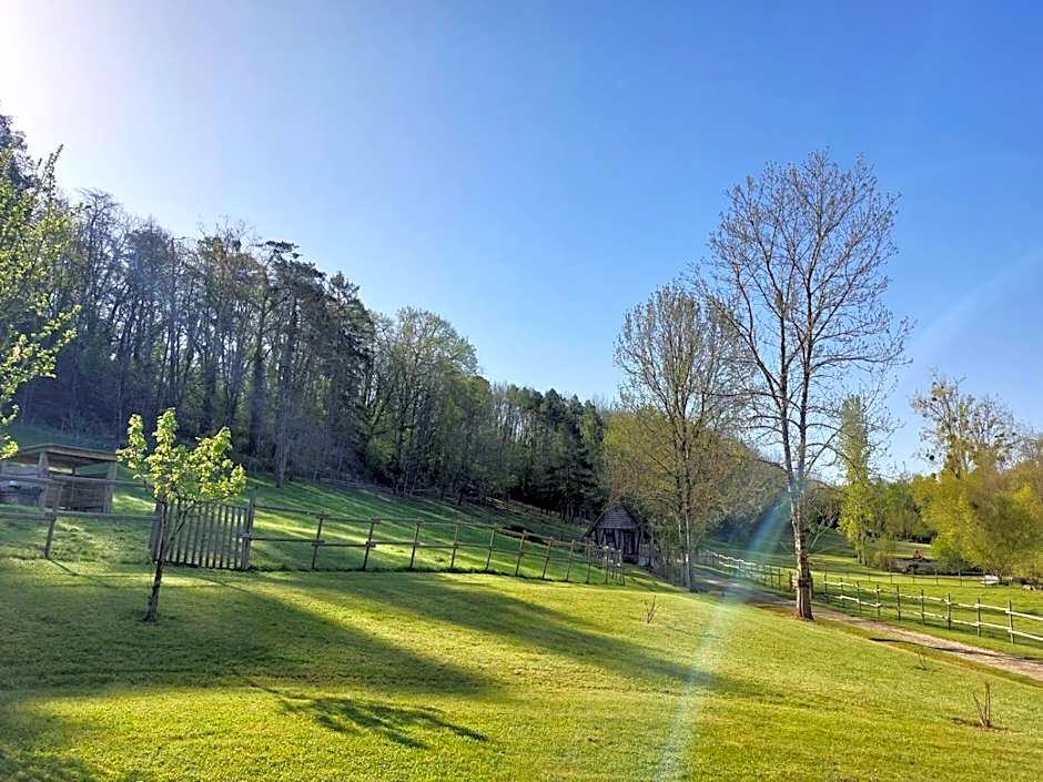 des Vignes et des Songes