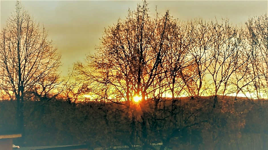 Domaine des Marequiers chambre Silène