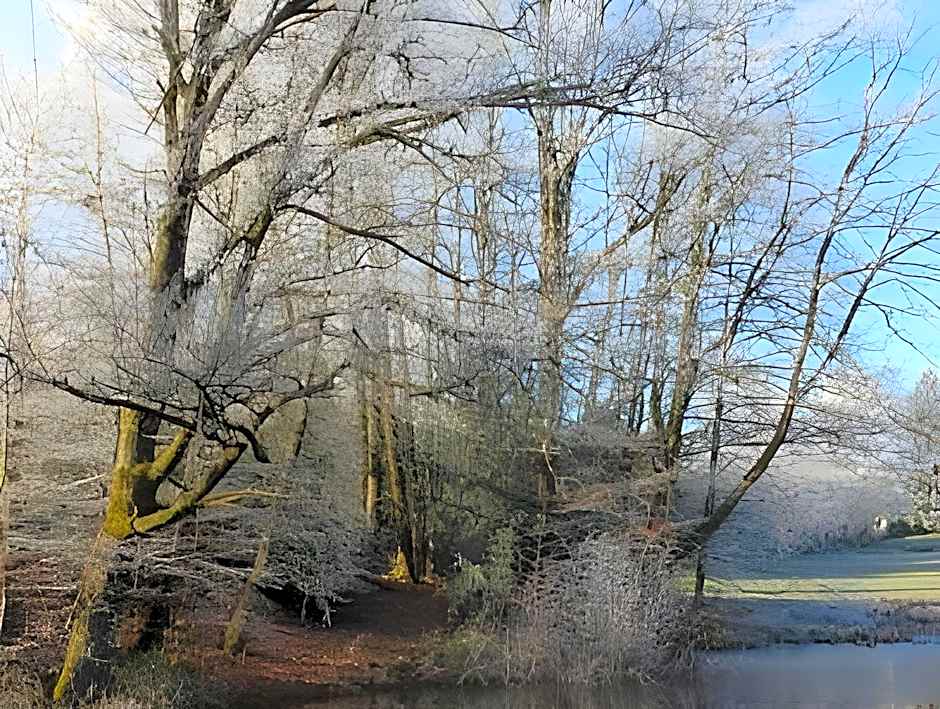 Château de Saint-Antoine