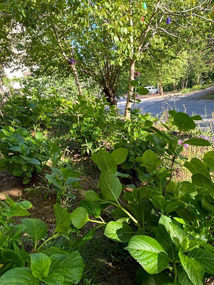 Kapri Termal Hotel & Kaplica Yalova