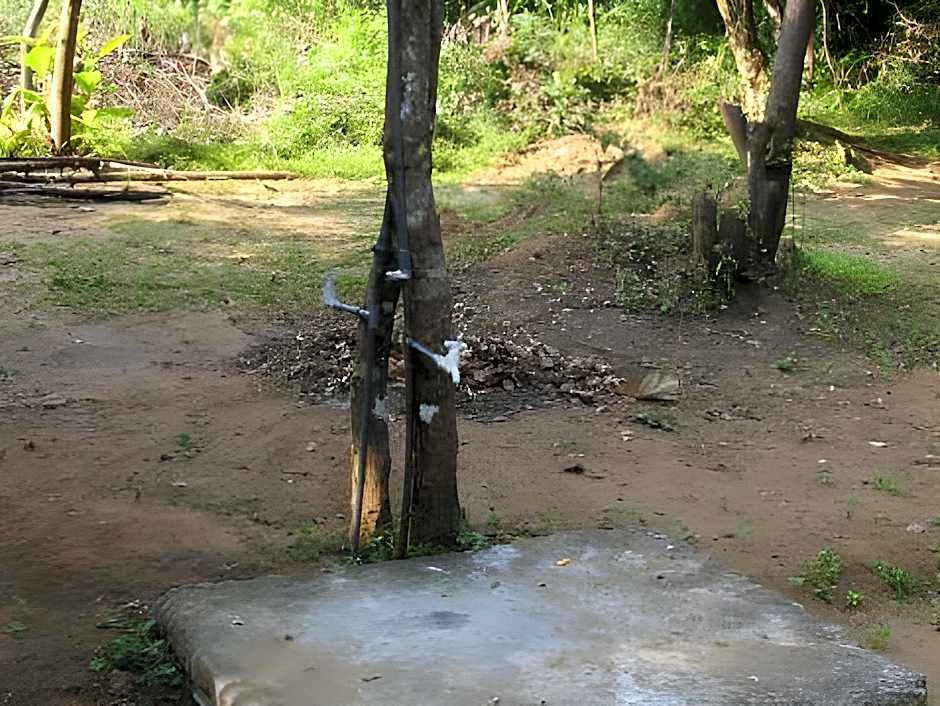 Eagle's Wings Guest House