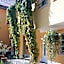 Hotel Gasthof Alte Post