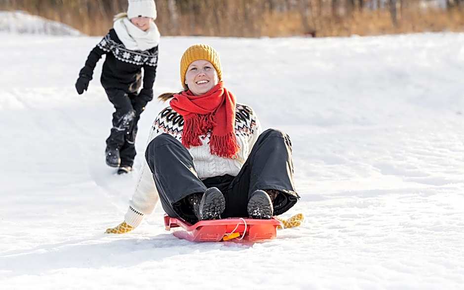 Hotell Gyllene Hornet