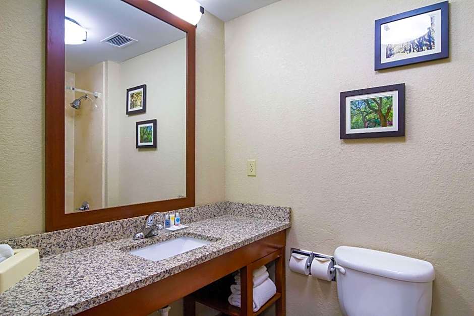 Comfort Inn Blackshear Hwy 84