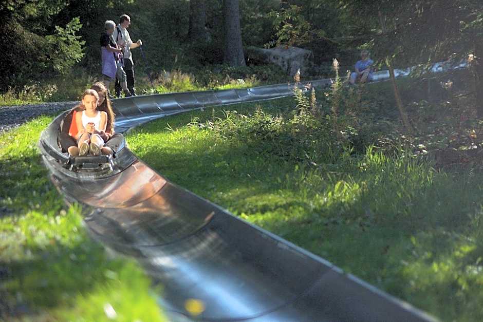 Gasthof Deutscher Adler und Hotel Puchtler