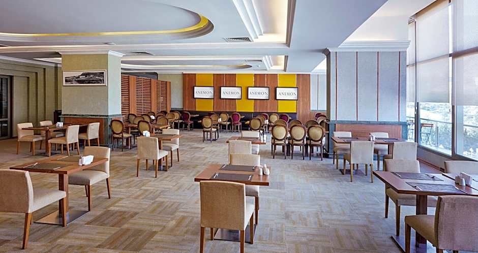Anemon Manisa Hotel