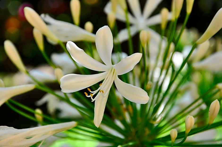 Locanda Villa Moderna