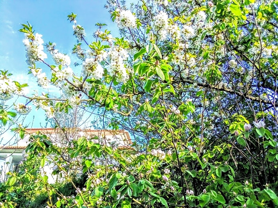 Casa Vale do Rio Ovil