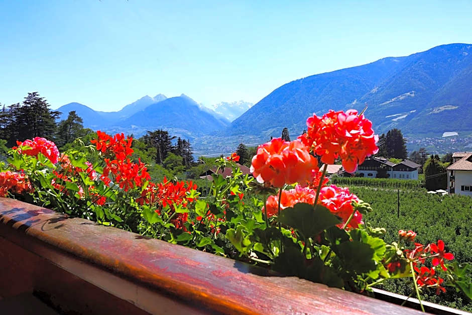 Guesthouse Pension Grafenstein