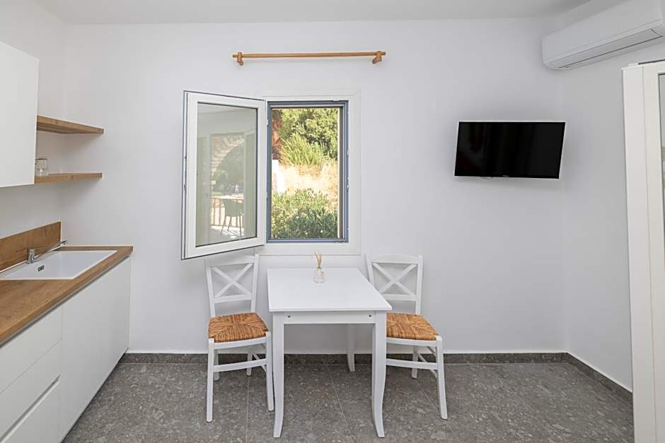 Delfinaki Boutique Apartments Lionas beach ,Naxos