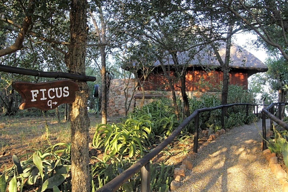 Shayamoya Tiger Fishing And Game Lodge