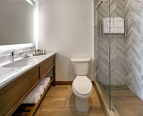 Deluxe King with Patio or Balcony