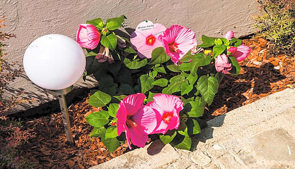 Dům U pikové desítky