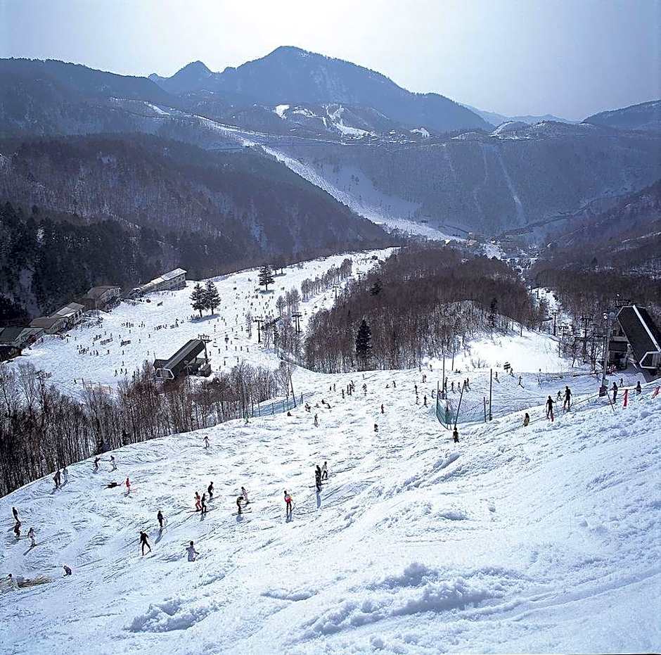 Kita Alps o Nozomu Rotenburo Hotel Higashidate