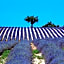 Clos des Lavandes - Chambres et Suites de charme climatisées-Luberon