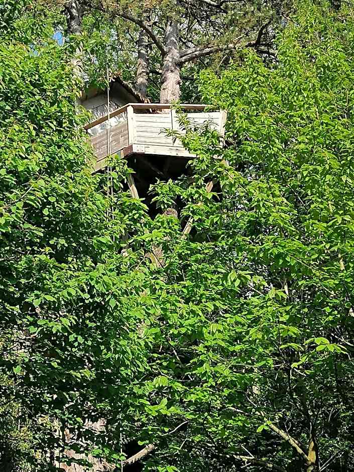 SHERWOOD TREE