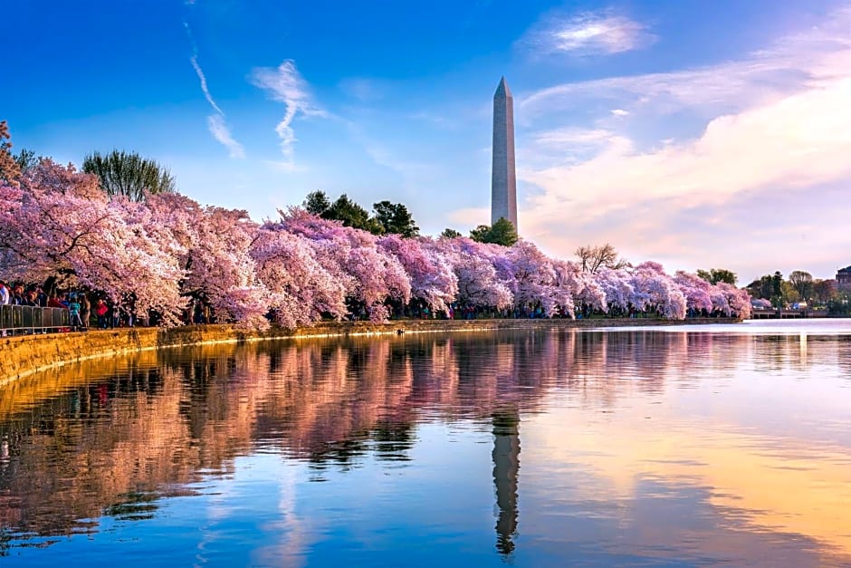 Hyatt Regency Washington