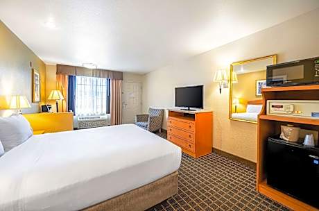 Suite-1 Queen Bed  Non-Smoking Jetted Tub Flat Screen Television Microwave And Refrigerator High Spe