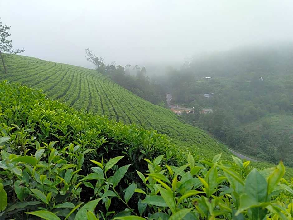 The Wind Munnar