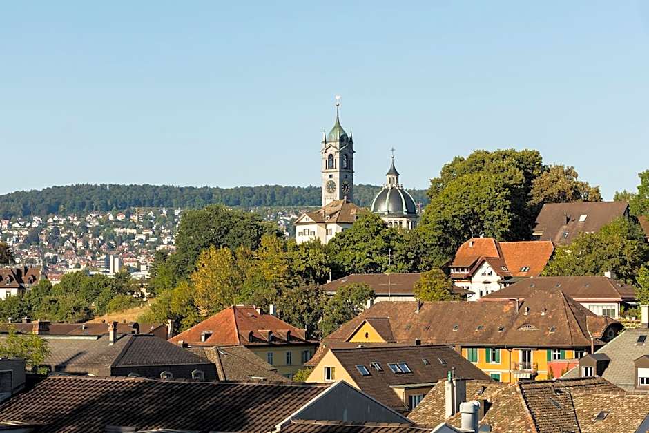 Engimatt City-Gardenhotel