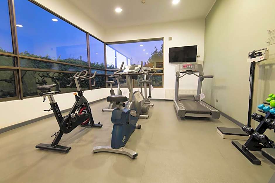 Holiday Inn Express Temuco By IHG