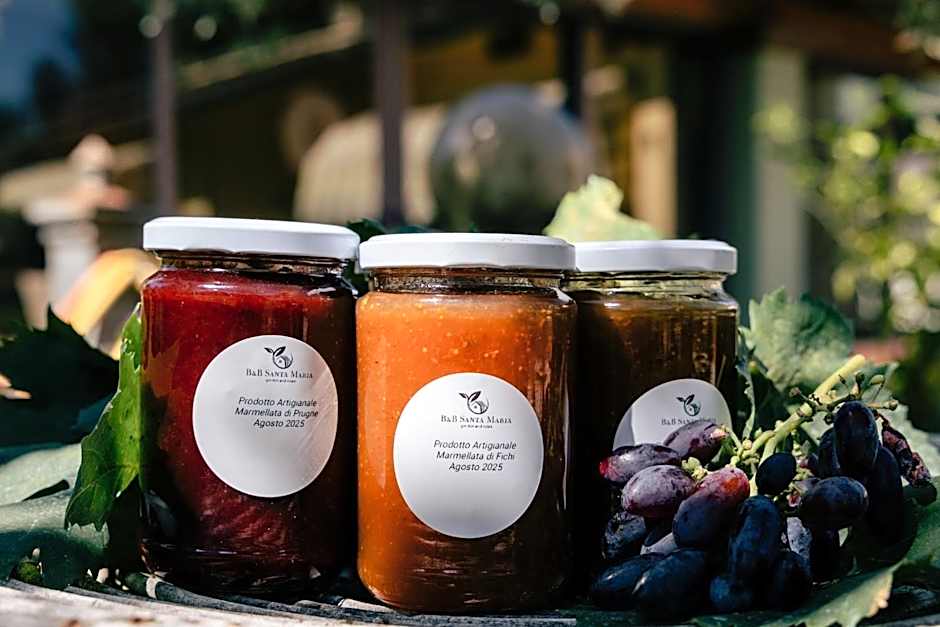 Santa Maria Apartments