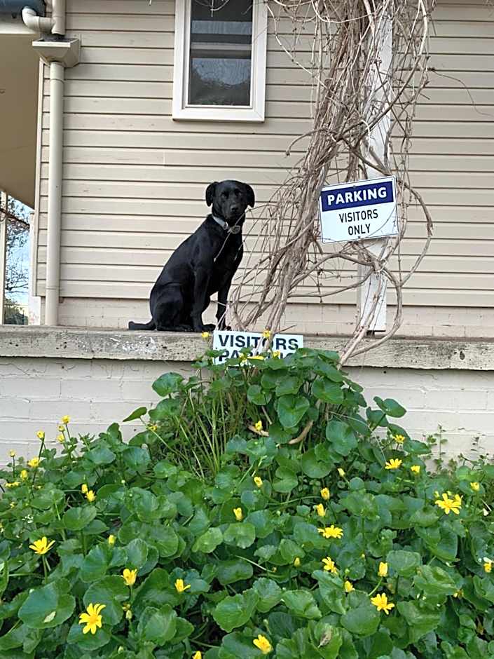 Amazing Views Pet Friendly Bed and Breakfast