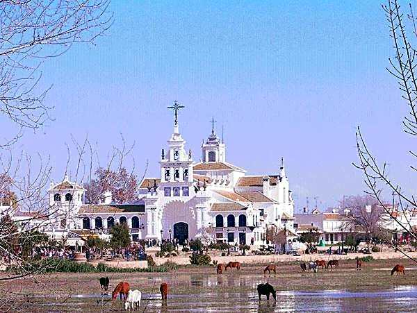Hotel Lince