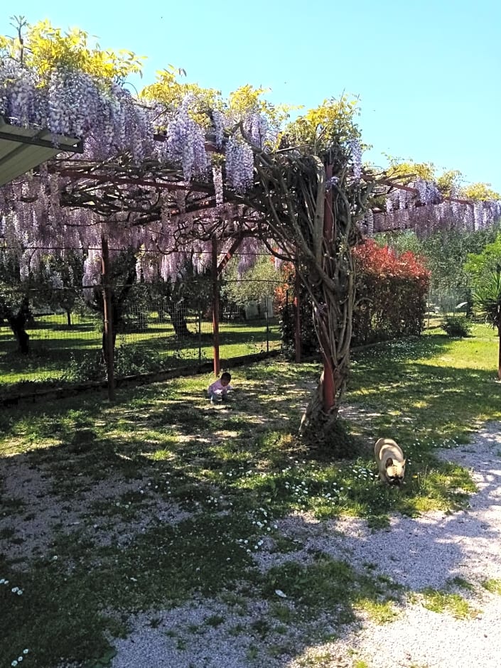 La Casa Gialla A MONTIGNOSO