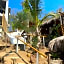 Mixtli Ecohouse, Habitaciones Sol & Luna - Starlink Internet