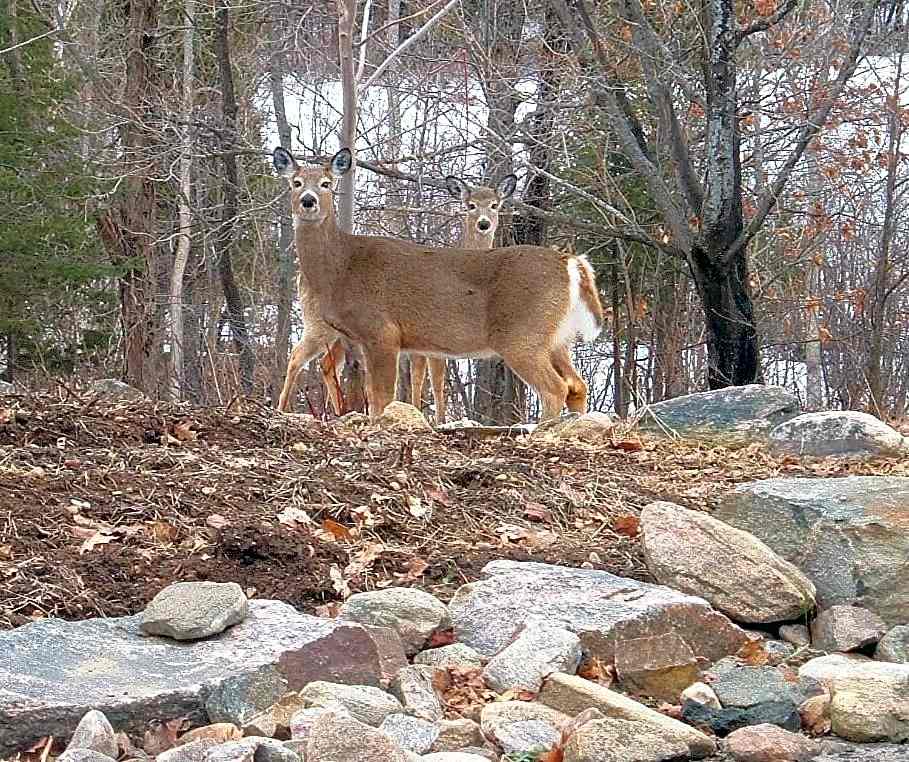 Quiet Bay Inn & Café