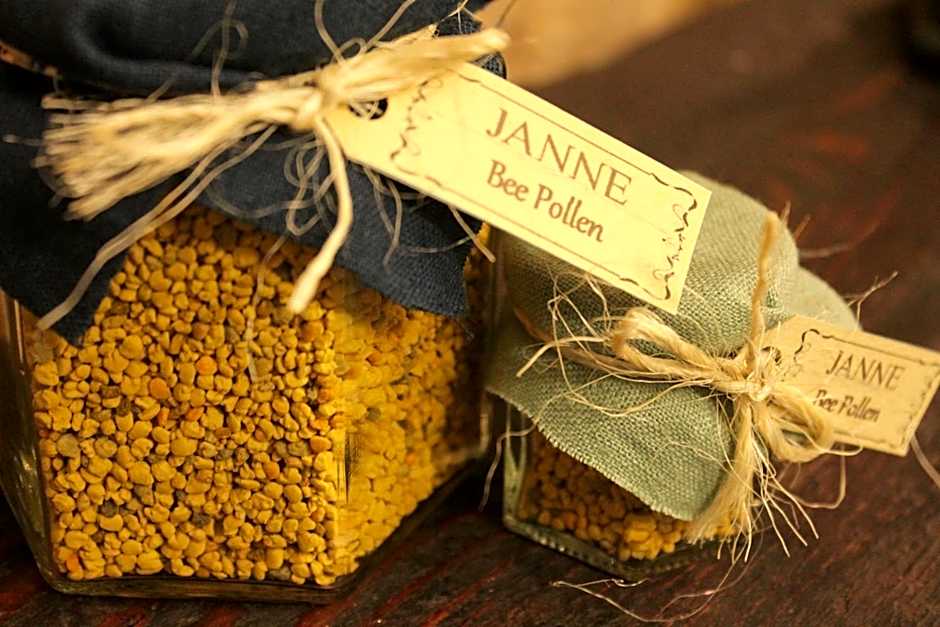 Janne Hotel with Self Check-in