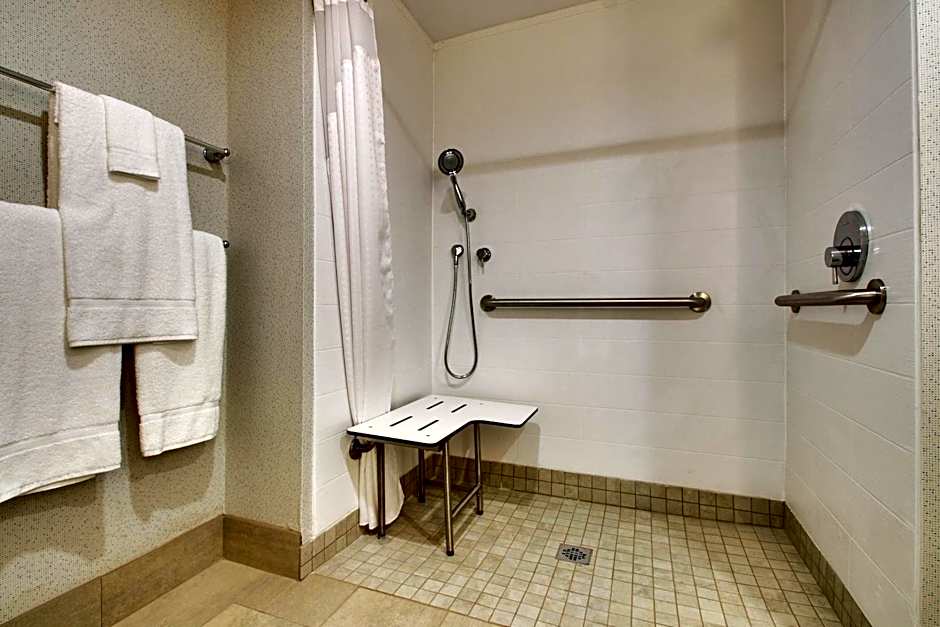 Photo 1 of 5 of 1 King Bed, Accessible, Roll in Shower