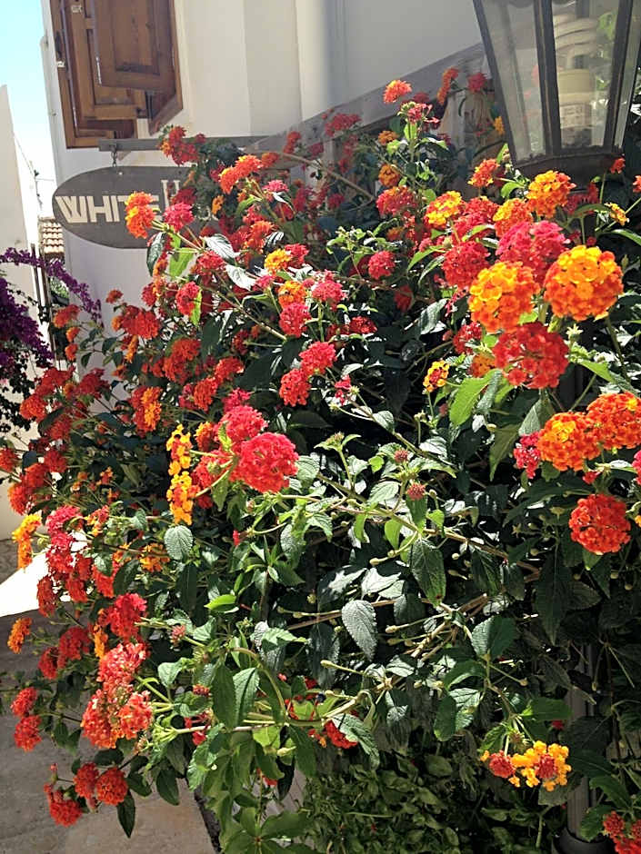 The White House Kalkan