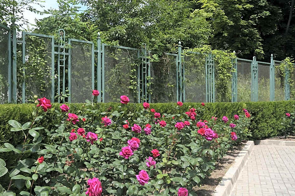 ApartComplex Splendid