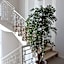 Apart-Hotel la Rocchetta