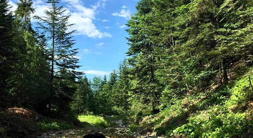 Chata "na Końcu" Świata