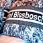 Hotel Biesbosch