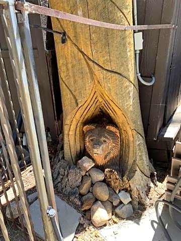 Avalon Lodge South Lake Tahoe