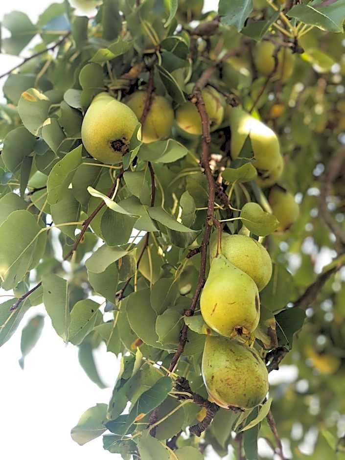 VIN Hotel - Wine Resort and Agriturismo Montieri