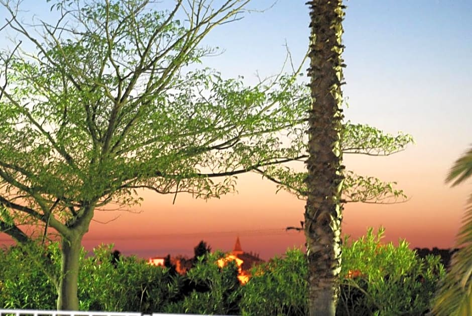 Adonis Saint Florent