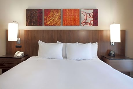 1 King Bed 1 Bedroom Villa Nonsmoking