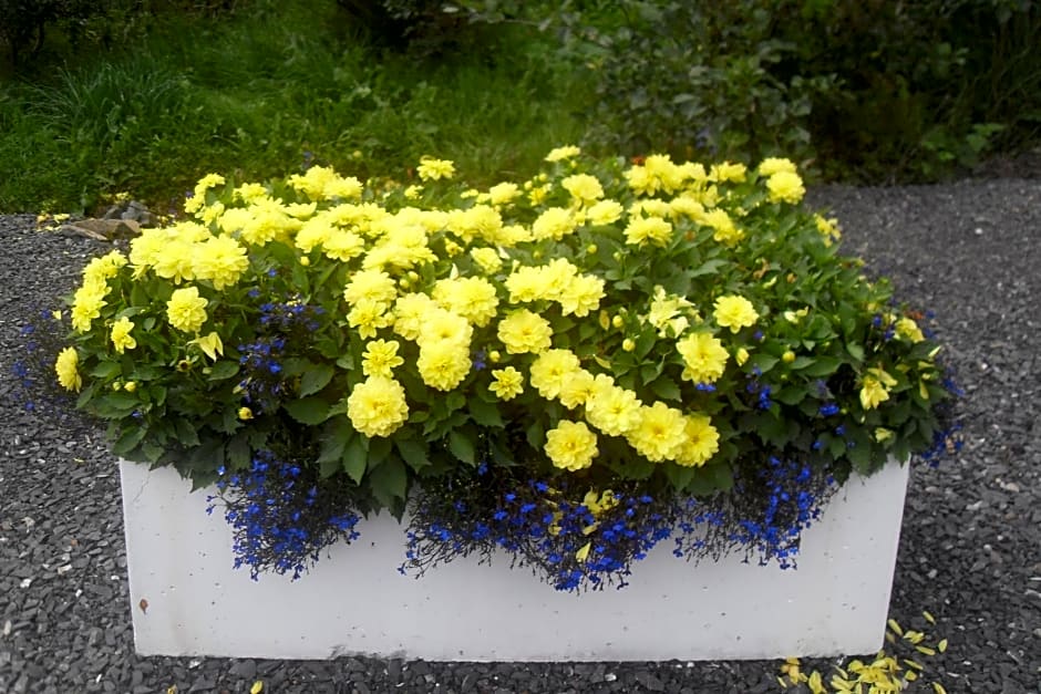 Cloverhill Gate Lodge