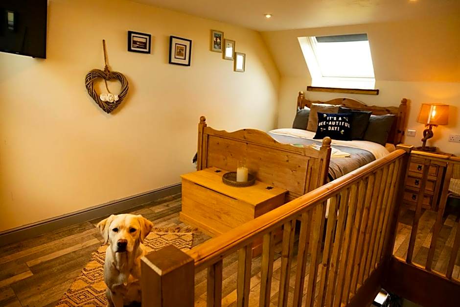 Norfolk Farm Stays by Beach Dog Friendly
