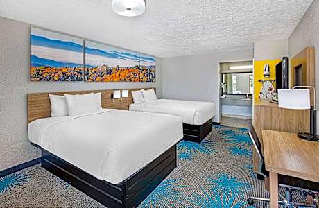 1 King Bed Non-Smoking