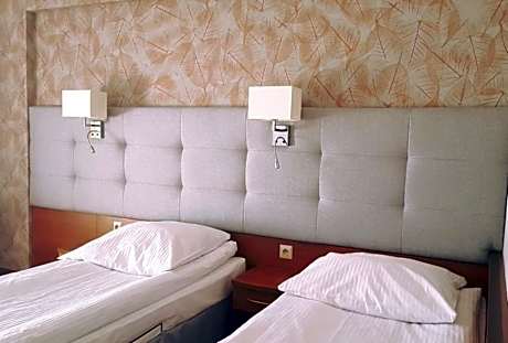 Single Room with Garden View