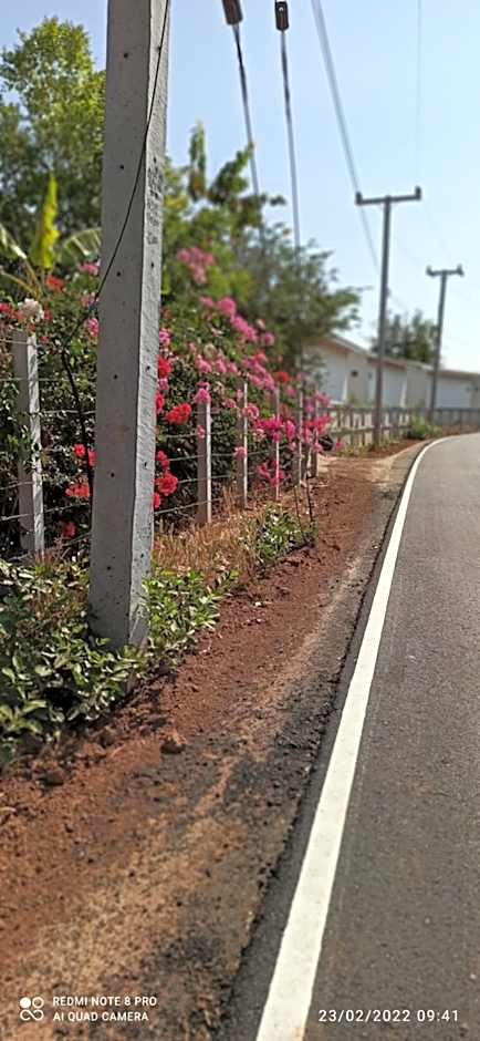 homestay568 Branch 2