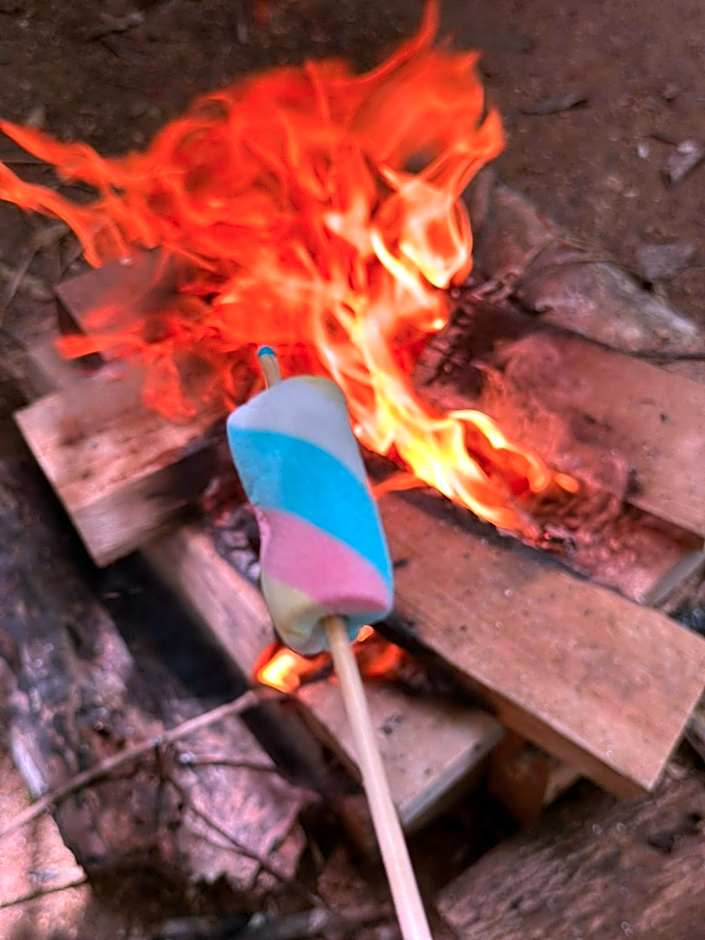 Espaço camping - Barraca 1